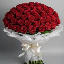 Букет 101 Красная роза Блэк Мэджик #REPLACE_PRED# Свече