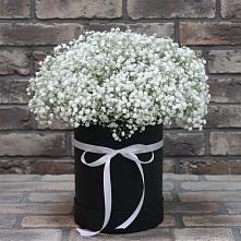Цветочная композиция из Гипсофила в шляпной коробке #REPLACE_PRED# Свече
