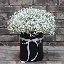 Цветочная композиция из Гипсофила в шляпной коробке в Свече